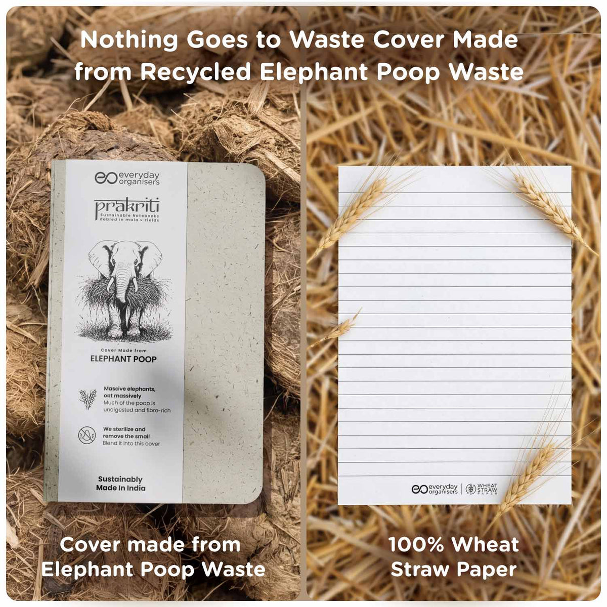 Elephant Dung Diary — A6 Pocket Notebook, Ruled Pages for Notes & Writing