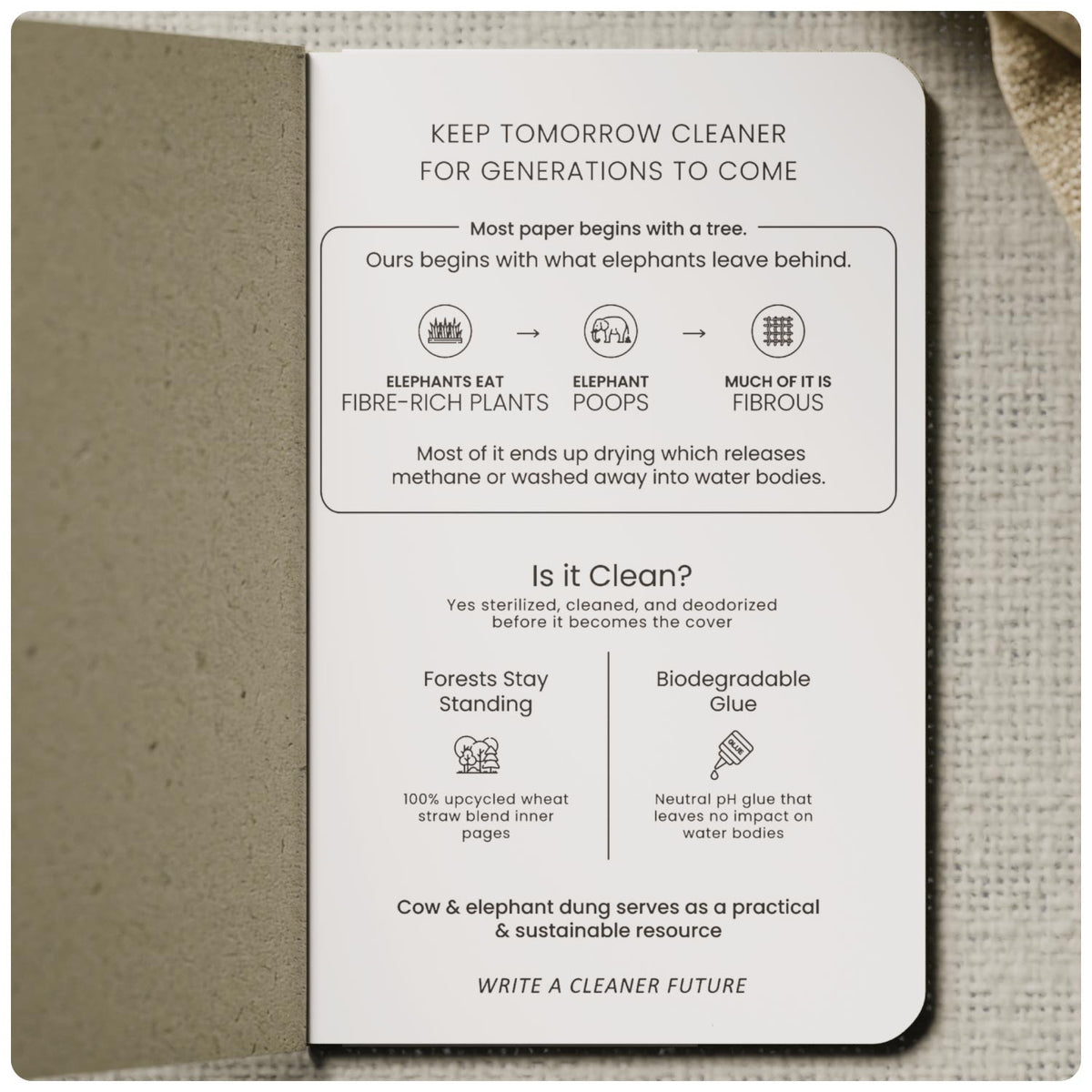 Elephant Dung Diary — A6 Pocket Notebook, Ruled Pages for Notes & Writing