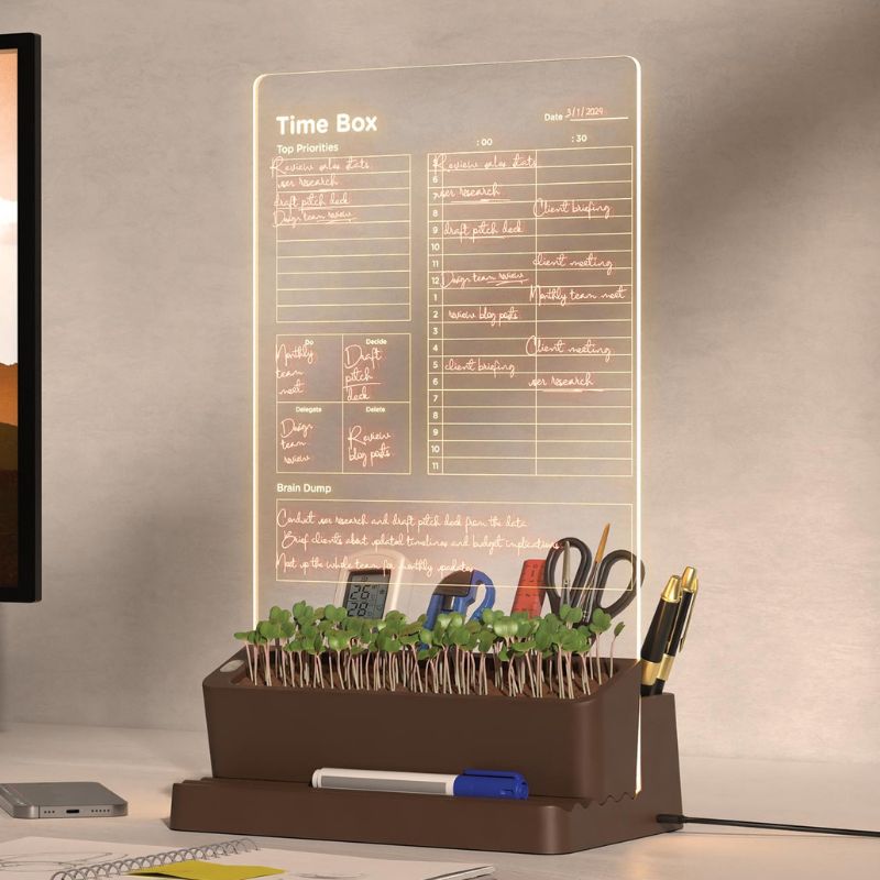 Taskmaster Time Box – Everyday Organisers