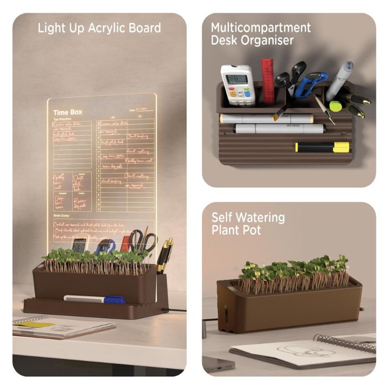 Taskmaster Time Box – Everyday Organisers