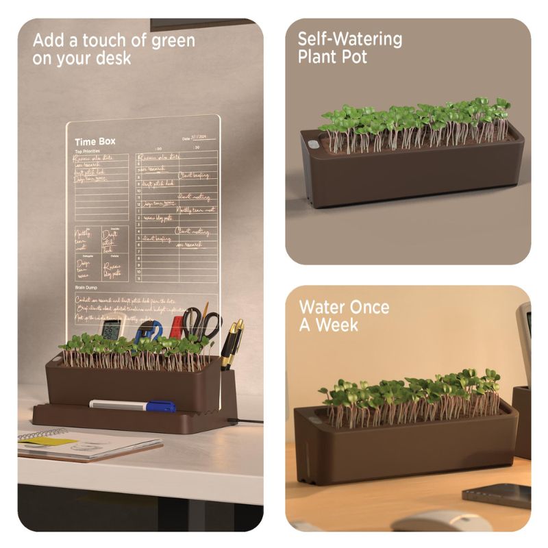 Taskmaster Time Box – Everyday Organisers